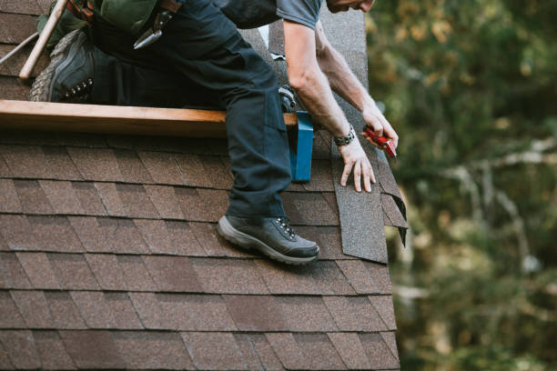 Best Roof Repair Services  in Dodgeville, WI