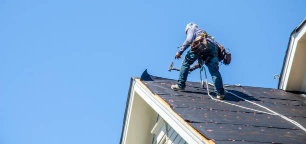 Roof Gutter Cleaning in Dodgeville, WI